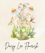 Daisy Lee Flourish